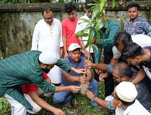 বৃক্ষরোপণ অভিযান