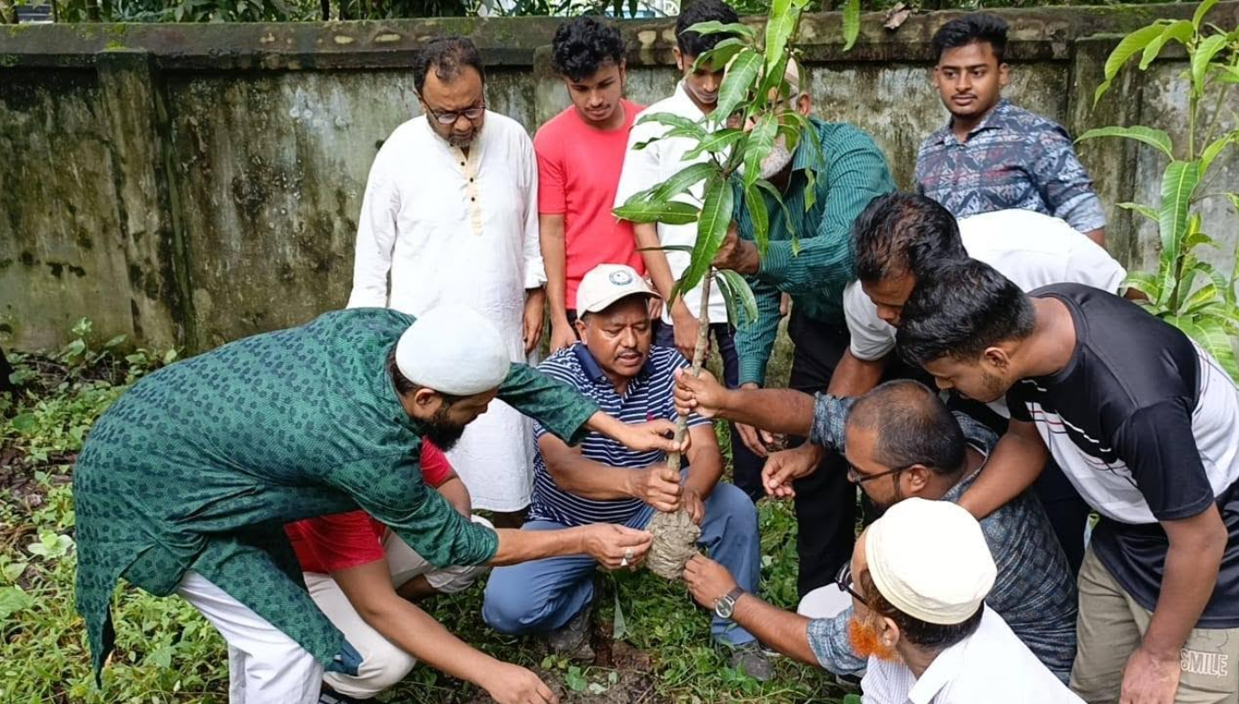 বৃক্ষরোপণ অভিযান